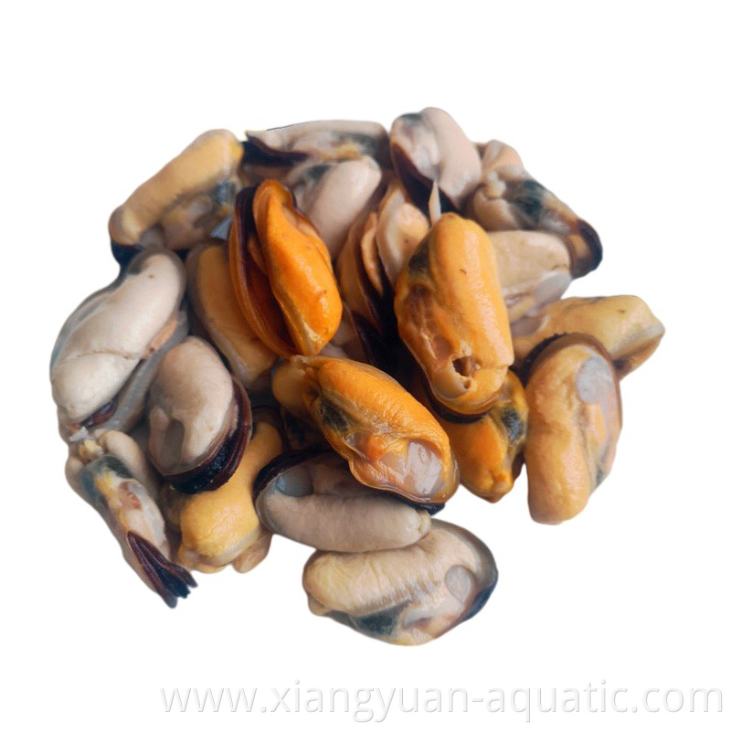 Delicious and superior no pesticide residue frozen cooked mussel